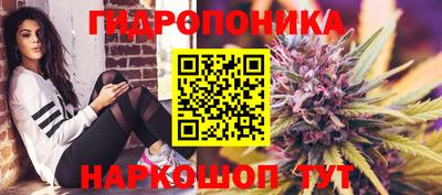 индика Берёзовский