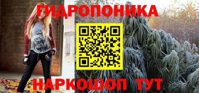 индика Берёзовский
