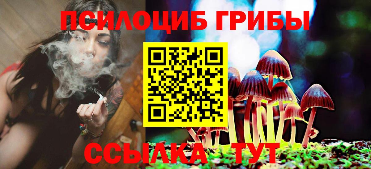 Галлюциногенные грибы MAGIC MUSHROOMS  Вход с VPN  даркнет сайт  Канаш 