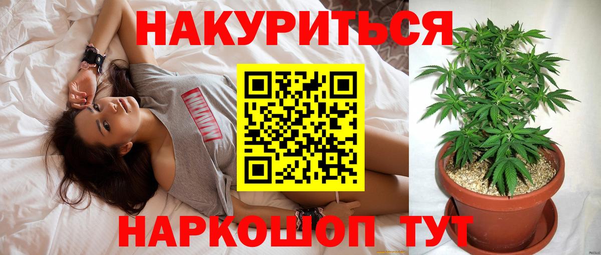 Бошки Шишки планчик  Вход с VPN  Бошки марихуана марихуана  Канабис план  Канаш 